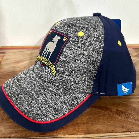 🎉HOST PICK🎉NWT AFC Richmond Hat Ted Lasso  Baseball Trucker Cap  Soccer Team - Picture 8 of 8